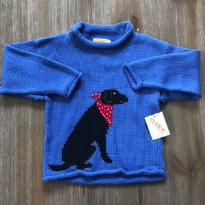 Clever boys sweater